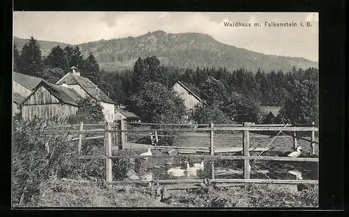 AK Waldhaus i. B., Teilansicht mit Falkenstein