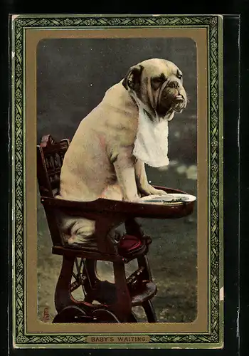 AK Bulldogge sitzt mit Lätzchen auf einem Hochstuhl, Baby`s Waiting, vermenschlichte Tiere