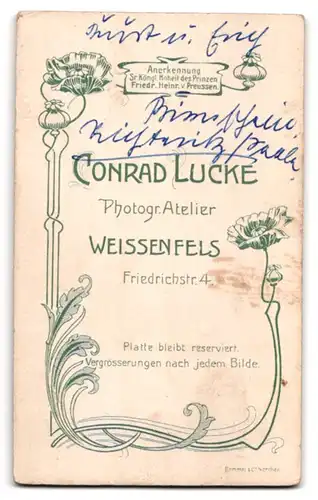 Fotografie Conrad Lucke, Weissenfels, zwei junge Knaben Kurt und Erich in Anzügen mit Knickerbocker Hosen