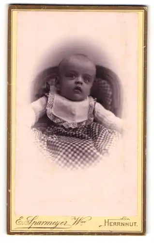 Fotografie E. Sparmeyer Wwe., Herrnhut, niedliches kleines Kind Martin Gotthelf Hansen im karierten Kleid, 1895