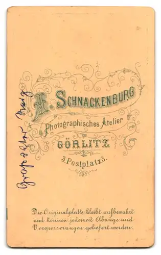 Fotografie A. Schnackenburg, Görlitz, Portrait Herr Reiz im Anzug mit Fliege