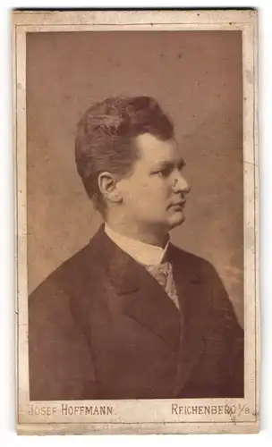 Fotografie Josef Hoffmann, Reichenberg i. B., Portrait Herr Hans Salm im Anzug, 1886