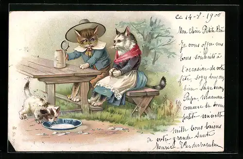 Künstler-AK Katzenpaar draussen beim Picknicken