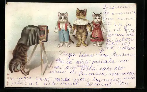 Lithographie vermenschlichte Katzen lassen sich fotografieren, Fotoapparat