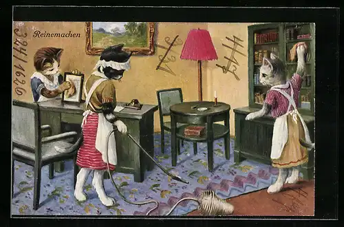 AK Katzen putzen als Hausmädchen ein Zimmer, vermenschlichte Tiere