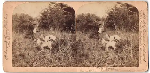 Stereo-Fotografie Strohmeyer & Wymanm New York, The Critical Moment, Entenjagd