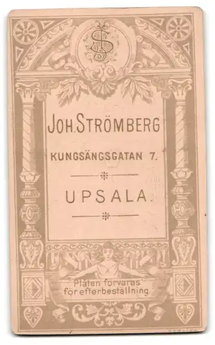 Fotografie Joh. Strömberg, Upsala, Portrait stattlicher Herr mit Schnurrbart und Fliege