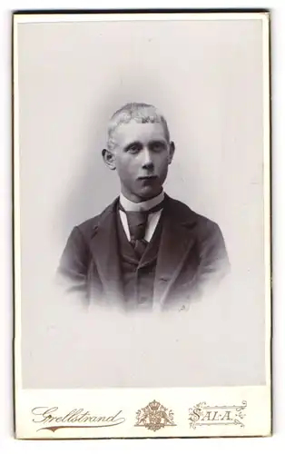 Fotografie Grellstrand, Sala, Portrait junger Mann im Anzug mit Krawatte