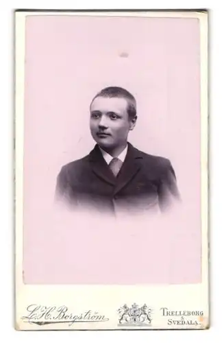 Fotografie L. H. Borgström, Trelleborg, Portrait freundlich blickender Bube im Jackett