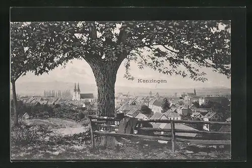 AK Kenzingen, Blick vom Berg auf den Ort