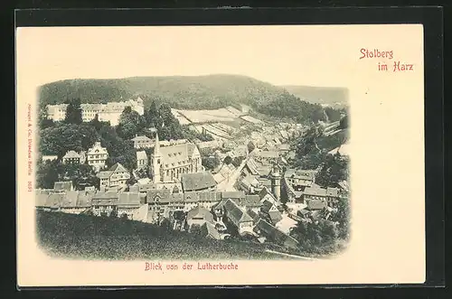 AK Stolberg / Harz, Panoramablick von der Lutherbuche