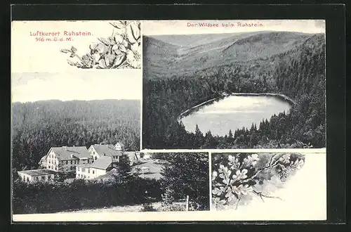 AK Ruhstein, Ortsansicht, Wildsee aus der Vogelschau