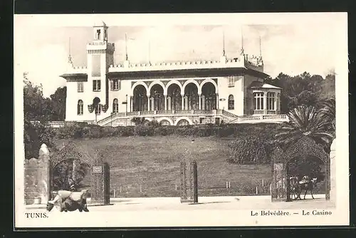 AK Tunis, Le Belvédère, Le Casino