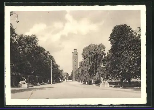AK München, Ausstellungspark mit Turm