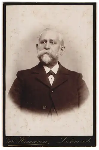 Fotografie Carl Hannemann, Luckenwalde, Portrait betagter Herr mit Bart