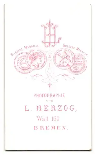 Fotografie L. Herzog, Bremen, Portrait junge dame mit aufwendiger Frisur, um 1880