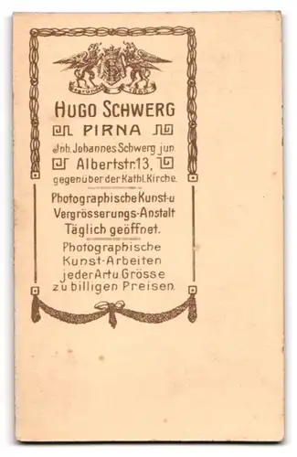 Fotografie Hugo Schwerg, Pirna, Portrait Frau mit Hochtesckfrisur