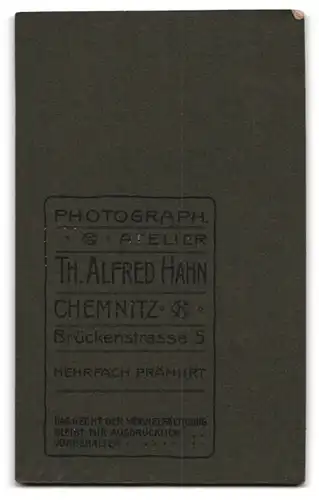 Fotografie Th. Alfred Hahn, Chemnitz, Portrait bürgerliches Fräulein mit zusammengebundenem Haar