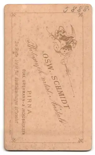 Fotografie Osw. Schmidt, Pirna, Portrait Dame in zeitgenöss. Kleidung