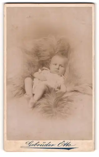 Fotografie Gebrüder Otto, Oranienburg, Portrait Säugling auf Fell