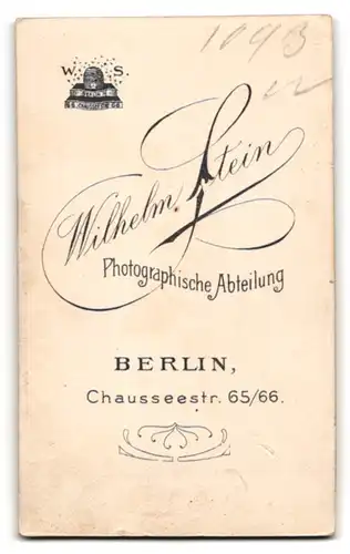 Fotografie Wilhelm Stein, Berlin, Portrait bürgerliche Dame mit Blume an Stuhl gelehnt