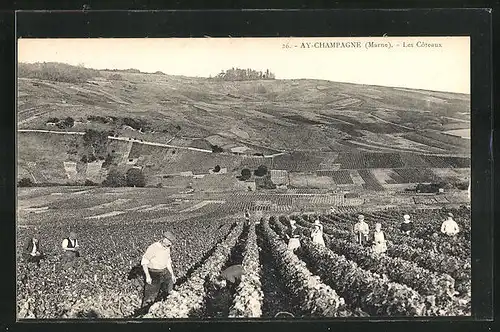 AK Ay-Champagne, Les Côteaux, Bauern bei der Weinlese
