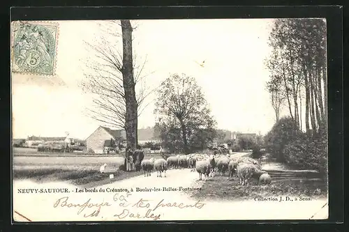 AK Neuvy-Sautour, Les bord du Créanton, à Boulay-les-Belles-Fontaines