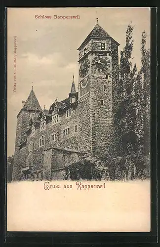 AK Rapperswil, Gebäudeansicht vom Schloss