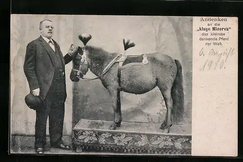 AK Kluge Minerva, das kleinste denkende Pferd der Welt mit Wärter