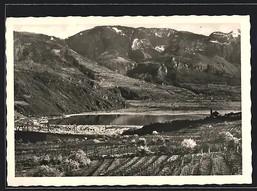 AK Kaltern, Kalterersee, Panorama mit Weinbergen und See