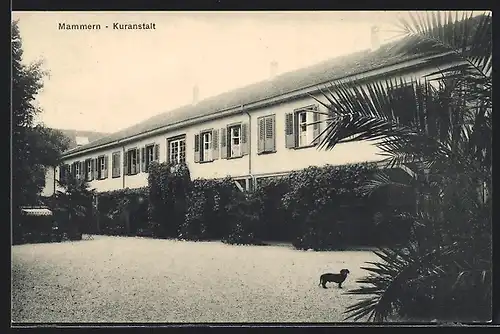 AK Mammern, Dackel vor der Kuranstalt