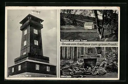 AK Kapellenberg, Gasthaus zum grünen Frosch, Kapellenbergturm, Elsterquelle