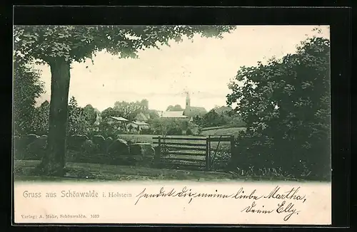 AK Schönwalde i. Holst., Ortsansicht mit Kirche