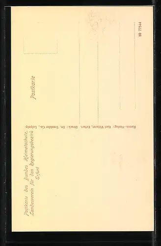 AK Erfurt, Ansicht der alten Häuser in der Futterstrasse