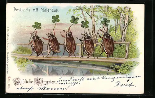 AK Maikäfer marschieren mit Vierblattklee auf einer kleinen Flussbrücke
