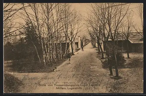 AK Lager Lechfeld, Mittlere Lagerstrasse mit kahlen Bäumen, Soldaten und Hund