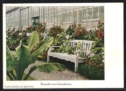AK Limburgerhof, I. G. Farbenindustrie Aktiengesellschaft, Landwirtschaftliche Versuchstation, Blumenflor am Gewächshaus