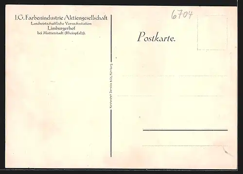 AK Limburgerhof, I. G. Farbenindustrie Aktiengesellschaft, Landwirtschaftliche Versuchstation, Blumenflor am Gewächshaus