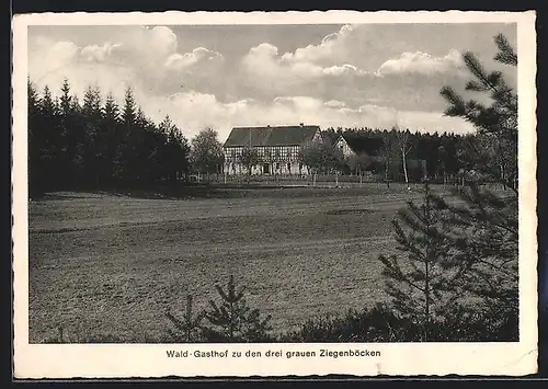 AK Bad Klosterlausnitz, Wald-Gasthof zu den drei grauen Ziegenböcken von Karl Schlegel