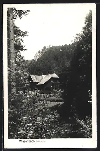 AK St. Veit an der Gölsen, Wiesenbach, Schindeltal