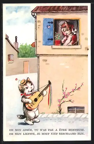 AK Kater spielt Gitarre für Katze