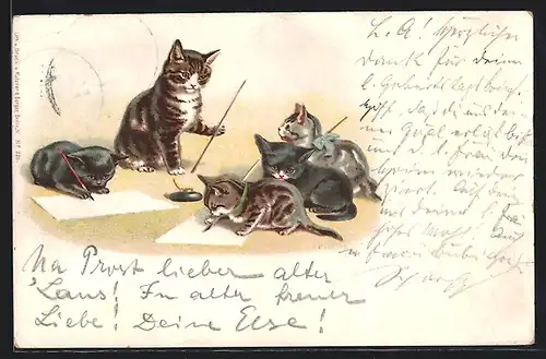 Künstler-AK Kleine Katzen lernen zu schreiben