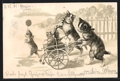 AK Katzenmutter schiebt ihre Kinder in einem Wagen