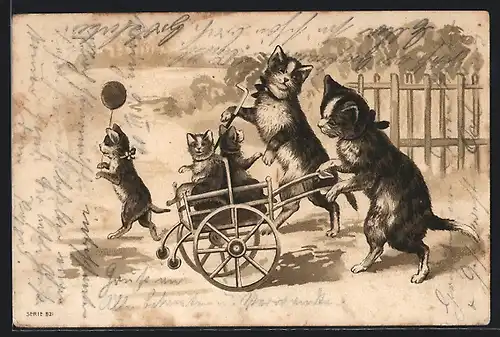 AK Katzenmutter schiebt ihre Kinder in einem Wagen