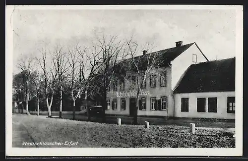 AK Erfurt, Waldschlösschen, Inh. Hugo Schäddrich