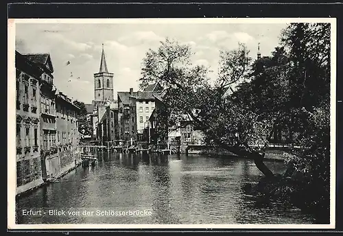 AK Erfurt, Blick von der Schlösserbrücke mit Bäumen