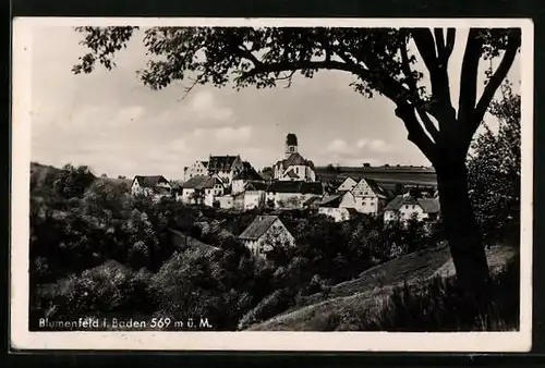 AK Blumenfeld i. Baden, Ortsansicht mit Kirche