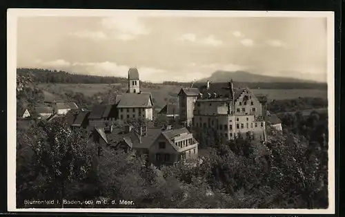 AK Blumenfeld i. Baden, Ortsansicht aus der Vogelschau