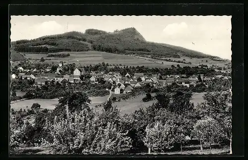 AK Weiterdingen, Gesamtansicht mit Hohenstoffel