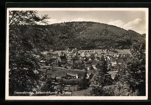 AK Immendingen, Gesamtansicht vom Höhenluftkurort a. Donau